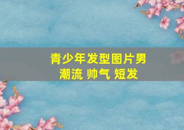 青少年发型图片男潮流 帅气 短发